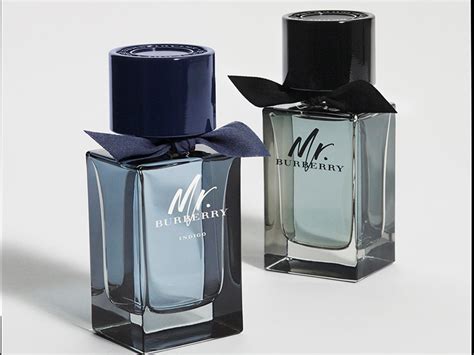 اكتشفه معنا Mr Burberry Indigo Eau De Toilette عطر يحاكي الهواء