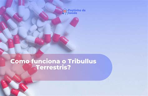 Tribulus Terrestris Conhe A Os Benef Cios Para Homens