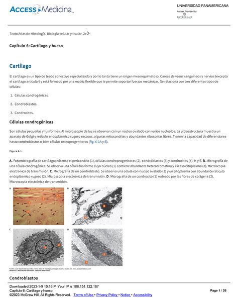 Capítulo 6 Cartílago y hueso Texto Atlas de Histología Biología