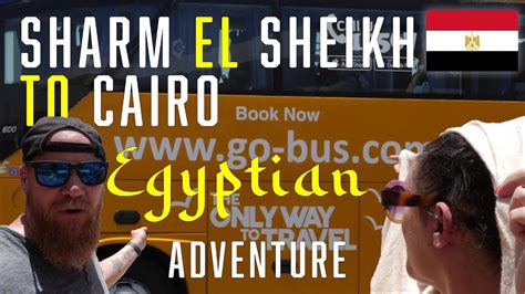 Traveling From Sharm El Sheikh To Cairo With Go Bus Egypt YouTube