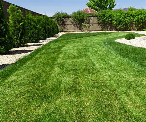 Lawn Fertilizer Service Turf Care Windsor Essex County Ont