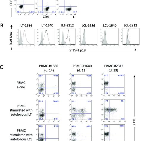 Recognition Of A Tax Epitope By Stlv Specific Ctls From A Japanese