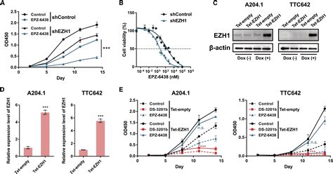 Dual Targeting Of EZH1 And EZH2 For The Treatment Of Malignant Rhabdoid