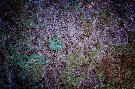 An Old Painted Concrete Monument Wall Without Repair Abstract Natural