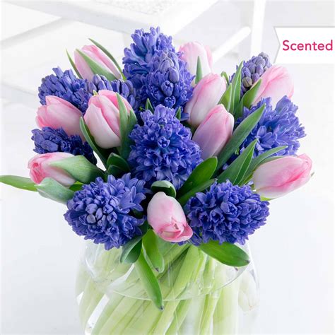 Scented Hyacinth And Tulips Uk