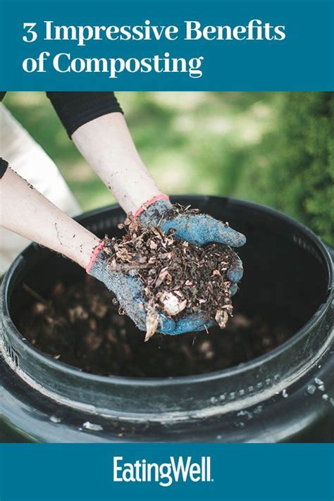 Composting Isnt Just Good For The Environment It Can Also Help Your