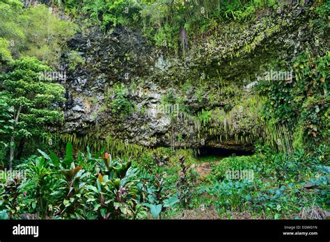 Fern Grotto In Wailua River State Park Kauai Hawaii Usa Stock Photo