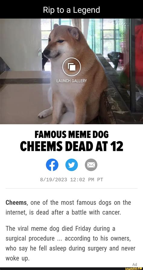 Rip to a Legend LAUNCH GALLERY FAMOUS MEME DOG CHEEMS DEAD AT 12 0900 PM PT Cheems, one of the ...