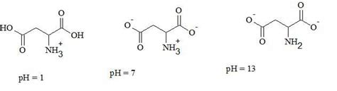 Aspartic Acid Structure At Ph