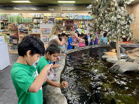 Camps - The Reptile Zoo