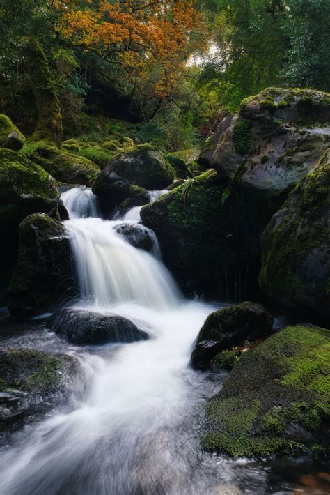 Waterfalls in the Forest · Free Stock Photo