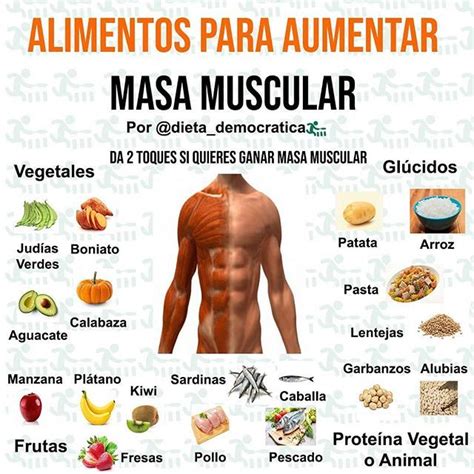 Conseguir Masa Muscular Por Dietademocratica Algo Que Me Parece Muy Importante Dietas