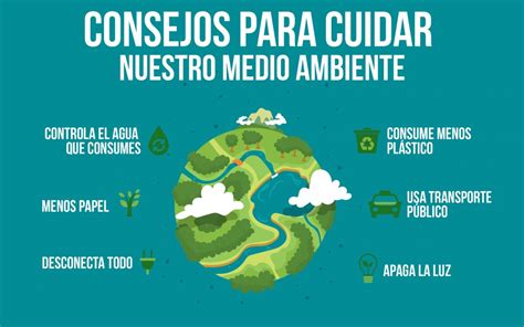 25 Que Hacer Para Cuidar El Medio Ambiente PNG Lena