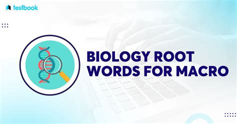 Biology Root Words Understanding Macro And Its Usage