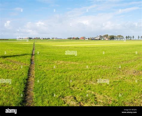 Polder Landscape With Pasture Path And Farmhouse Near Workum