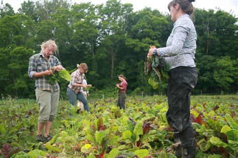 Growing The Next Generation Of Farmers In The Hudson Valley Cornell