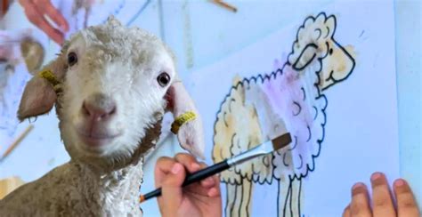 Nourrissage Des Animaux Et Atelier Dessiner Avec Les Plantes La Ferme