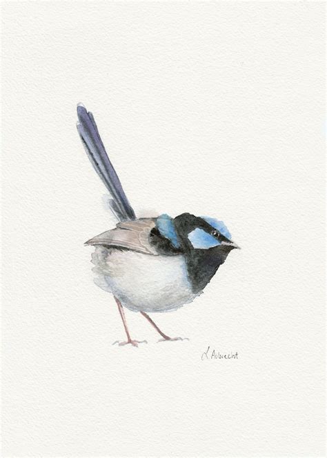 A4 Print Of Original Watercolour Painting Superb Fairy Wren Etsy