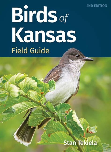 Birds Of Kansas Field Guide Nhbs Field Guides And Natural History