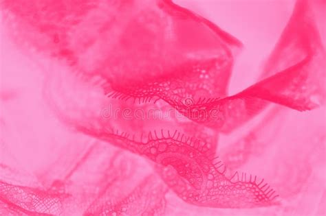Vivid Pink Lace Lingerie On Pale Pink Background Stock Image Image Of Bright Exquisite 180822165