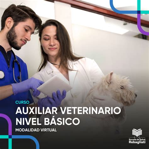 Curso Auxiliar Veterinario Nivel Básico Rebagliati Salud