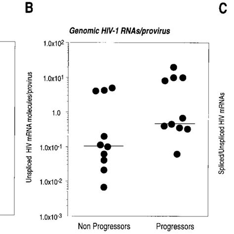 Pattern of provirus gene expression. (A and B) The graphs show the ...