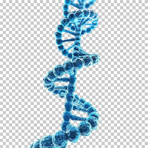 Blue D Dna Helix Isolated On Transparent Premium Ai Generated Psd