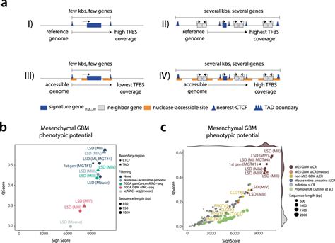 Integrating Chromatin Accessibility And 3d Contact Maps As Input For