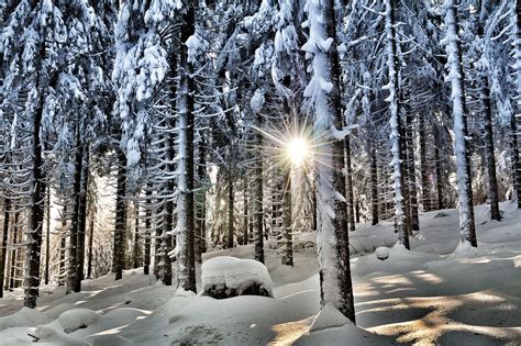 Hiver For T D Hiver Neige Paysage Photo Gratuite Sur Pixabay Pixabay