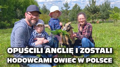 Opuścili Anglię i zostali hodowcami owiec w Polsce Rolnictwo