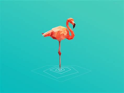 Flamingo Free Animated S Flamingo Illustration 