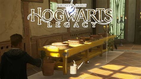 Hogwarts Legacy Raum Der W Nsche Einrichten Let S Play Youtube