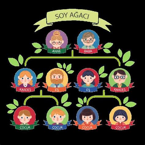 Soyağacı örnekleri nelerdir? Yazınız. - Eodev.com