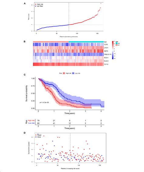 Survival Analyses Of The Prognostic Model In The Tcga Gbm Cohort A