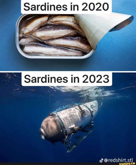 Sardines In 2020 Sardines In 2023 Dd Redshirtstl Ifunny