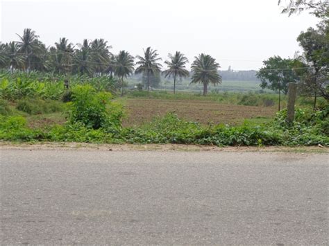 Agricultural Land Farm Land For Sale In Nanjanagudu Mysore Acre