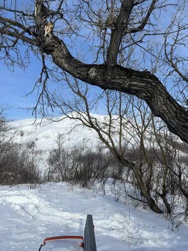 Best Hikes and Trails in Wanuskewin Heritage Park | AllTrails