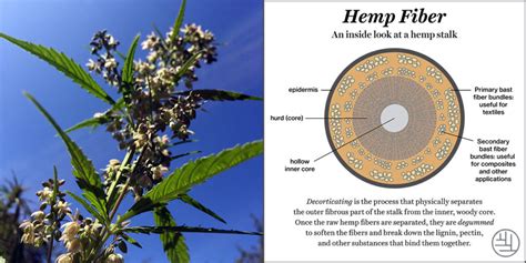 Weaving Hemp into the Northern California Fibershed - Fibershed