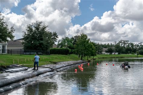 Fort Myers Hurricane Damaged Shoreline Restoration — Dragonfly Pond Works