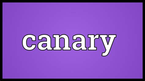 Canary Meaning Youtube