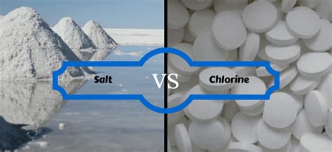 Salt Water Vs Chlorine Pools For Your Orlando Or Central Florida Home