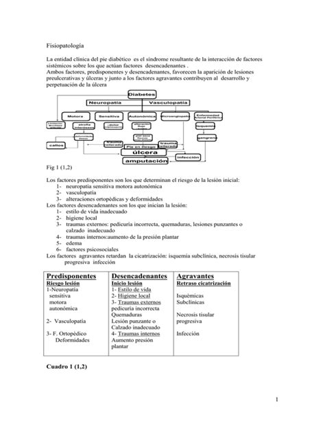 Fisiopatolog A Y Tipos De Lceras