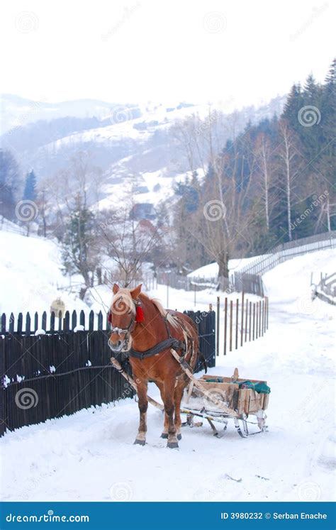 Horse Drawn Sled Stock Photo Image Of Countryside Scenery 3980232
