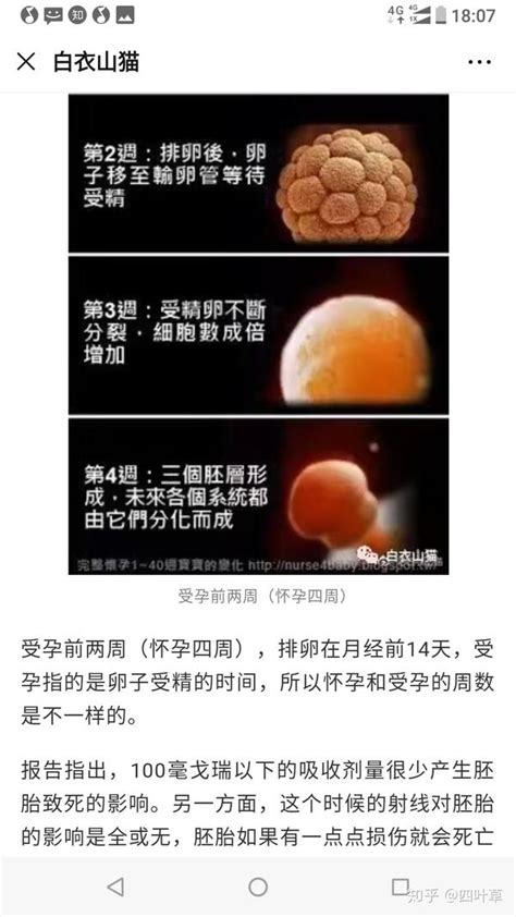 拍了ct和x光后，才知道自己怀孕怎么办 刚发现的新知识点 知乎