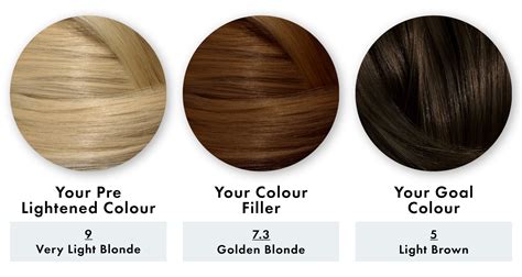How To Smoothly Transition From Blonde To Brunette How To Darken Hair