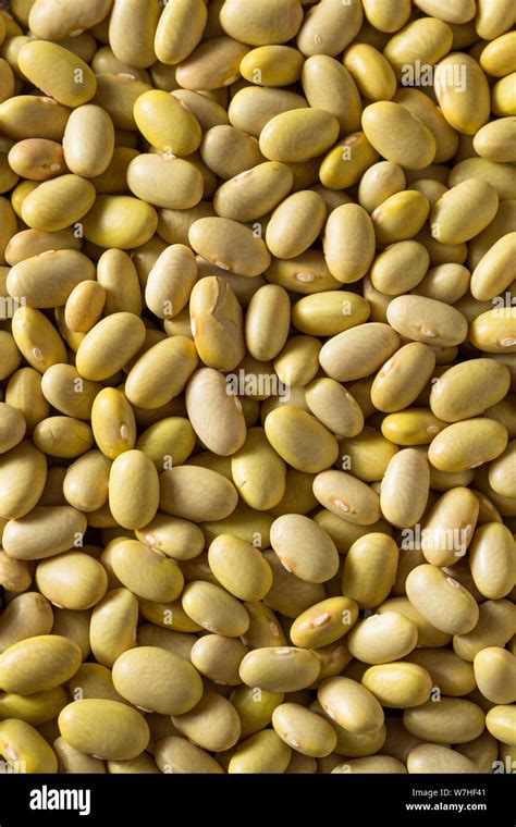 Bulk Dry Beans Hi Res Stock Photography And Images Alamy