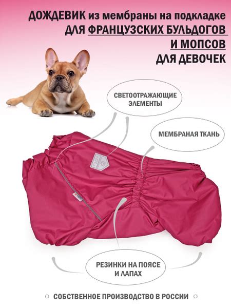 Мембранный дождевик для французского бульдога купить на OZON по низкой ...