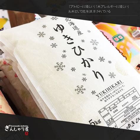 米 5kg お米 ゆきひかり 北海道産 白米 令和5年産 送料無料 Yesyuki 2805ぎんしゃり屋 通販 Yahooショッピング