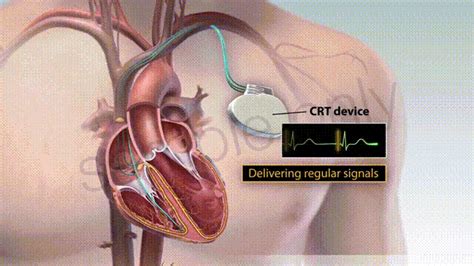 Hriday Cardiac Care Clinic Diagnostic Centre