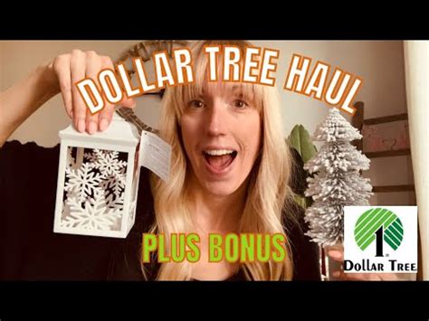 DOLLAR TREE HAUL PLUS BONUS DOLLARAMA HAUL CHRISTMAS 2023 YouTube